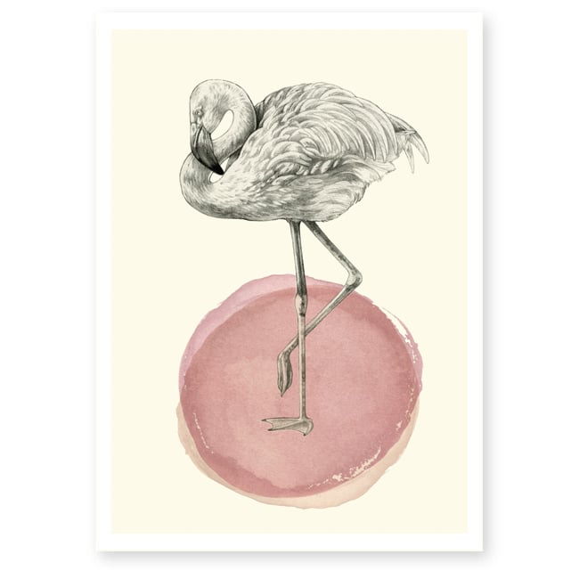 Image of Affiche A4 Flamant rose 2