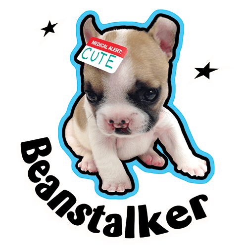 Image of Beanstalker Men's Fitted Tshirt