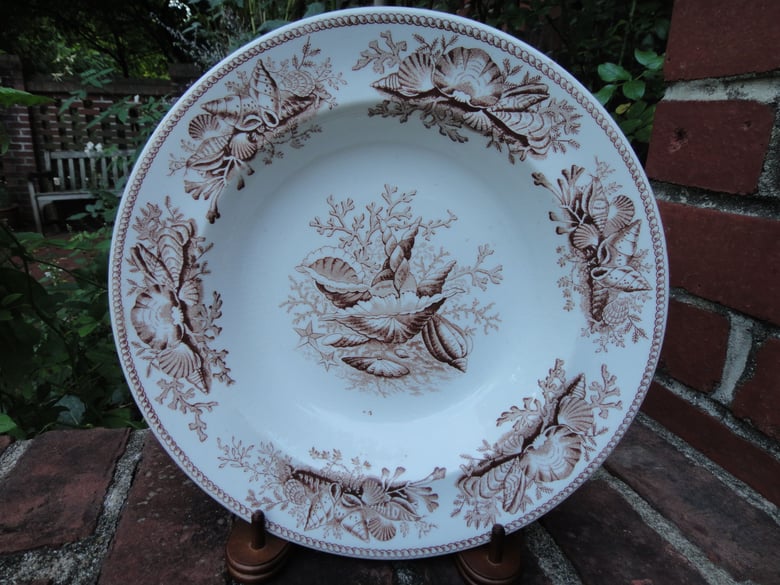 Image of A Rare Bodley and Son Late 19th Century Seashell Aesthetic Transfer Plate.