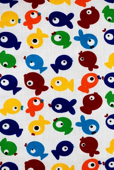 Image of COVER- RAINBOW FISH