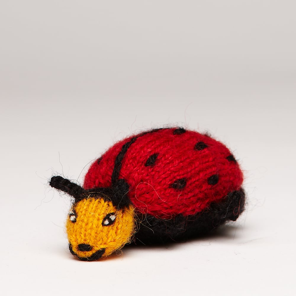 Image of Finger Puppet Ladybird