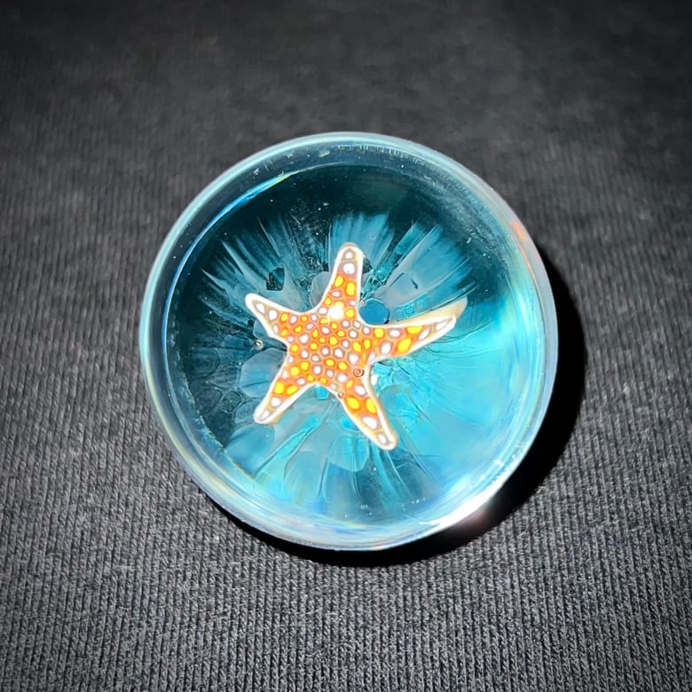 Image of Sea Star Marble