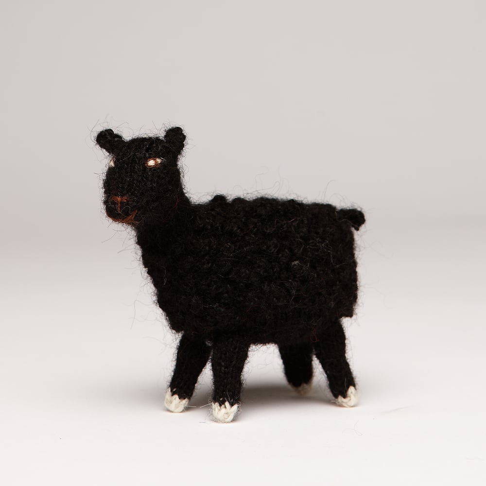 Image of Finger Puppet  Sheep 