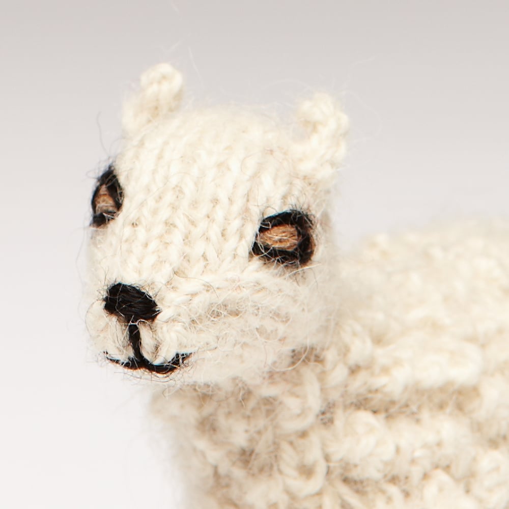 Image of Finger Puppet Sheep 