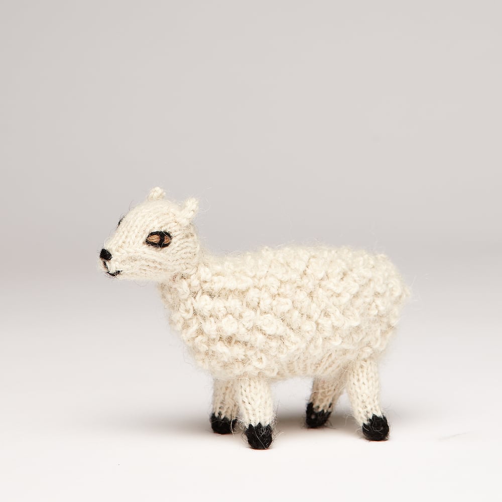 Image of Finger Puppet Sheep 