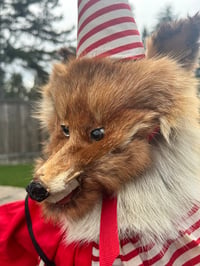 Image 1 of Twinkie