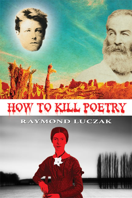 Image of How to Kill Poetry by Raymond Luczak