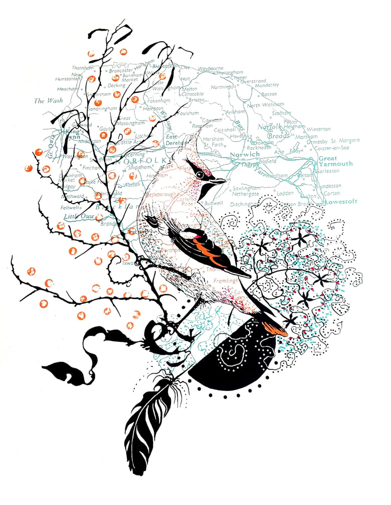Image of The Cromer waxwing-hand printed screen print edition of 24