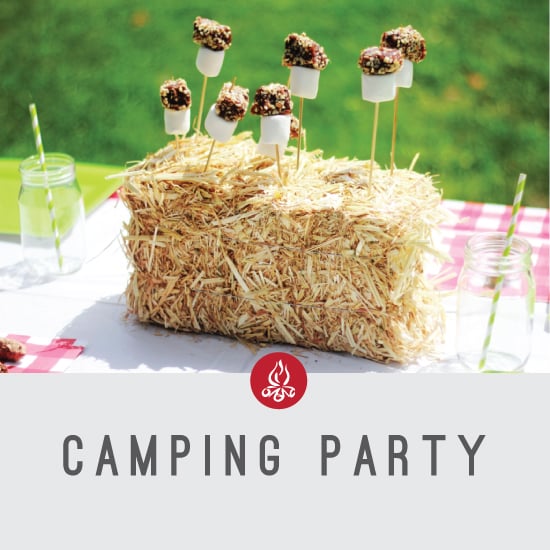 Image of Camping Party