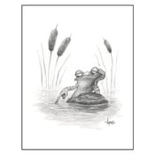 Image of "Marsh Mellow" Frog Print