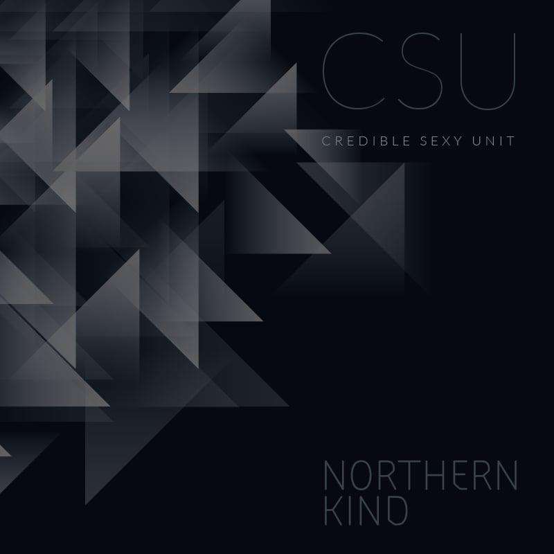 Image of NORTHERN KIND | CREDIBLE SEXY UNIT - CD ALBUM