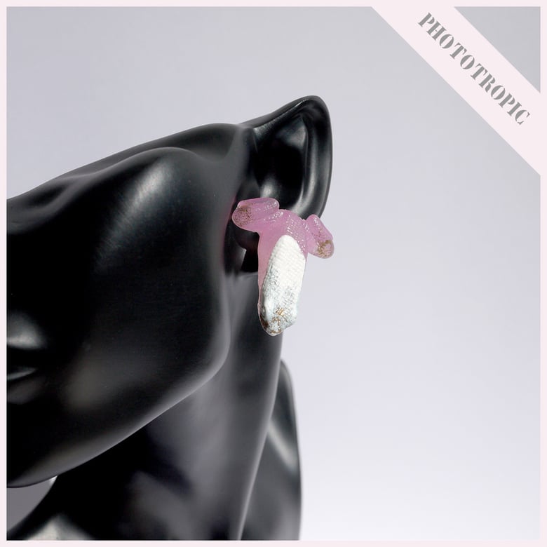 Image of ☼ "Porcelina Frog Earrings" ["Phototropic Earrings"] ☼