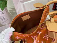 Image 15 of LV Pharrell Velvety Speedy