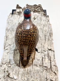 Image 3 of Flicker - Elizabeth Paxson 