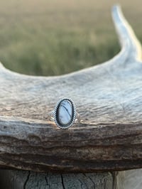 Image 3 of The Highway 52