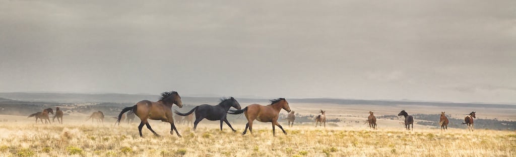 Image of On the Santa Fe Trail