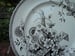 Image of An Enchanting Brown and White Aesthetic Transferware  Plate