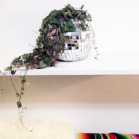 Image 4 of DISCO BALL PLANTER