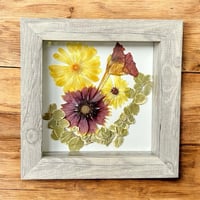 Image 5 of Calendula, Nasturtium, Indian Blanket, Euonymus Wildflower Art In 6" X 6" Shadow Box (Item# 202207S)