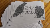 Image of Zebra Mirrors Sticker