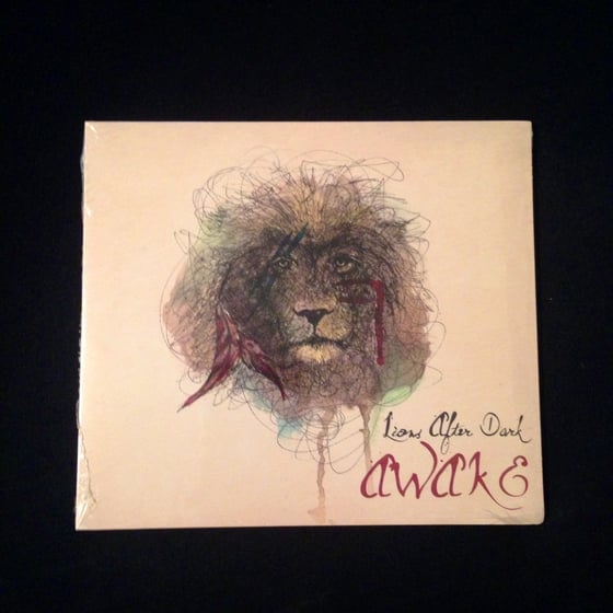 Image of Awake CD