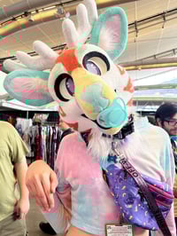 Image 7 of Fursuit Sized Pacis 