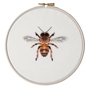 Image of Amber Bee cross-stitch PDF pattern