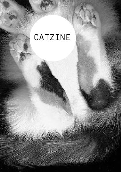 Image of CATZINE