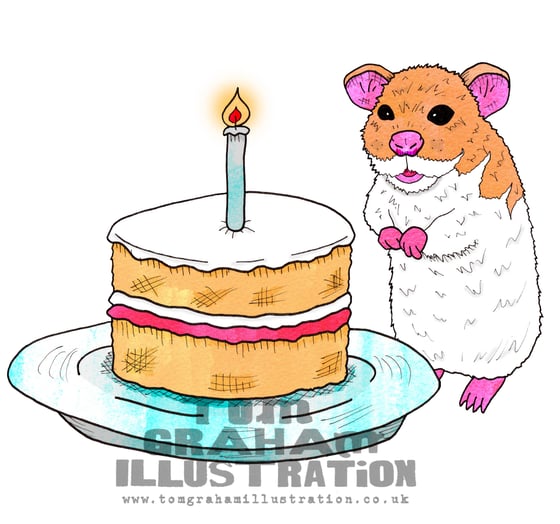 Image of Hamster Birthday Card