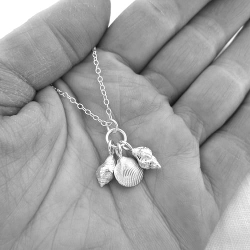 Image of silver shell necklace