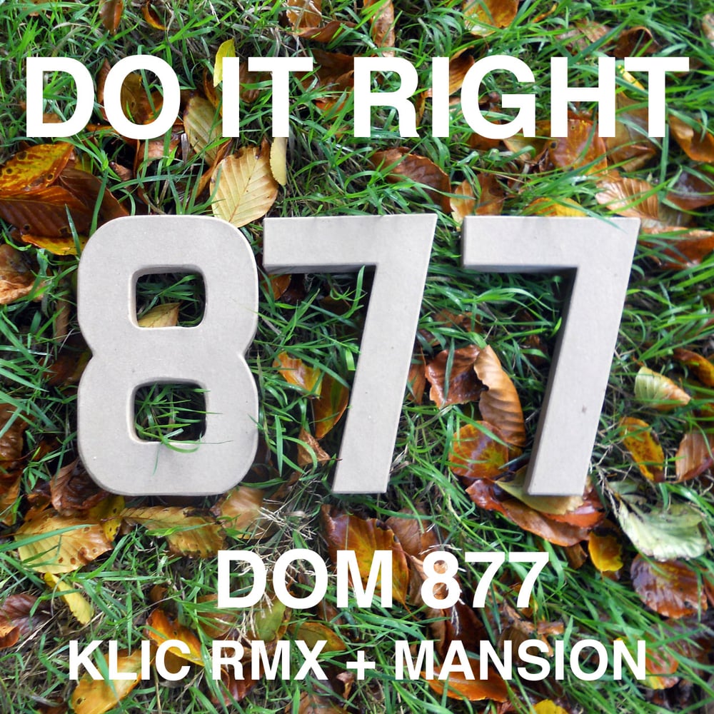Image of Dom 877 - Do It Right EP Vinyl