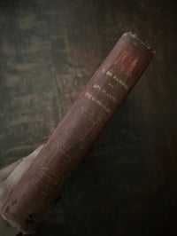 Image 4 of Plantes qui guérissent et plantes qui tuent, Olivier de Rawton, 1888!