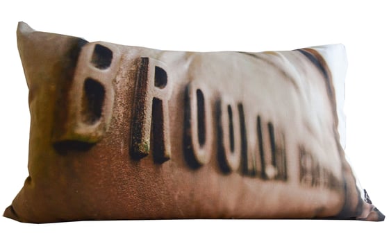Image of Brooklyn Plate cushion