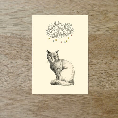 Image of Carte postale simple Chat et nuage