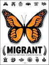 Migrant Butterfly Poster