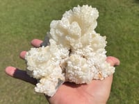 Image 10 of White Calcite Crystal Reef Formation Specimen #1240