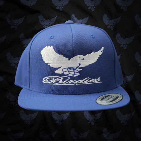 Image of Blue/White Birdies Snapback