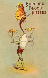 Image of Burdock Blood Bitter - Butterfly Balancing Frog