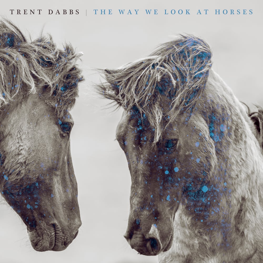 Image of The Way We Look At Horses Vinyl  - SOLD OUT 
