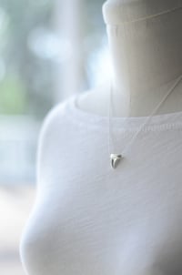 Image 2 of Shark Tooth Necklace Sterling Silver