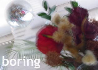 Image of boring: photographs by Ric Kasini Kadour