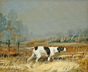 Image of Pointer in the Eden Valley, Westmorland
