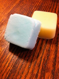 Travel Size Solid Shampoo and Conditioner, solid bars