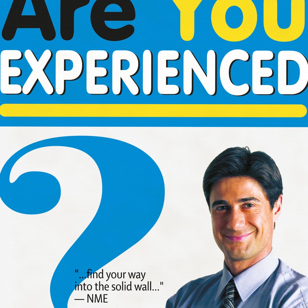 Image of Are You Experienced Art Print