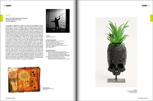 Image of Guide de l'art contemporain urbain 2013