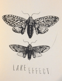 Image of Lake Effect #3