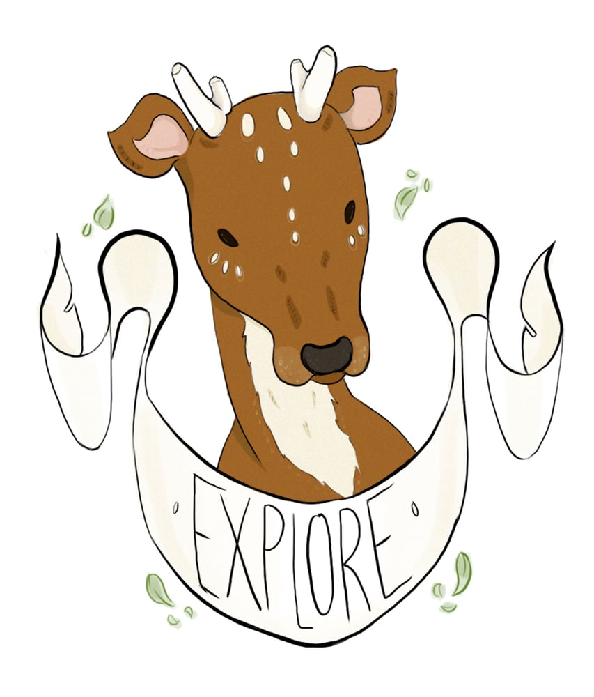 Image of "Explore" Deer Print 4x5