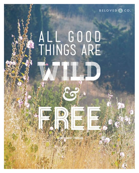 Image of All Good Things Are Wild and Free Print