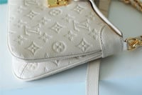 Image 2 of LV Twinny Bag