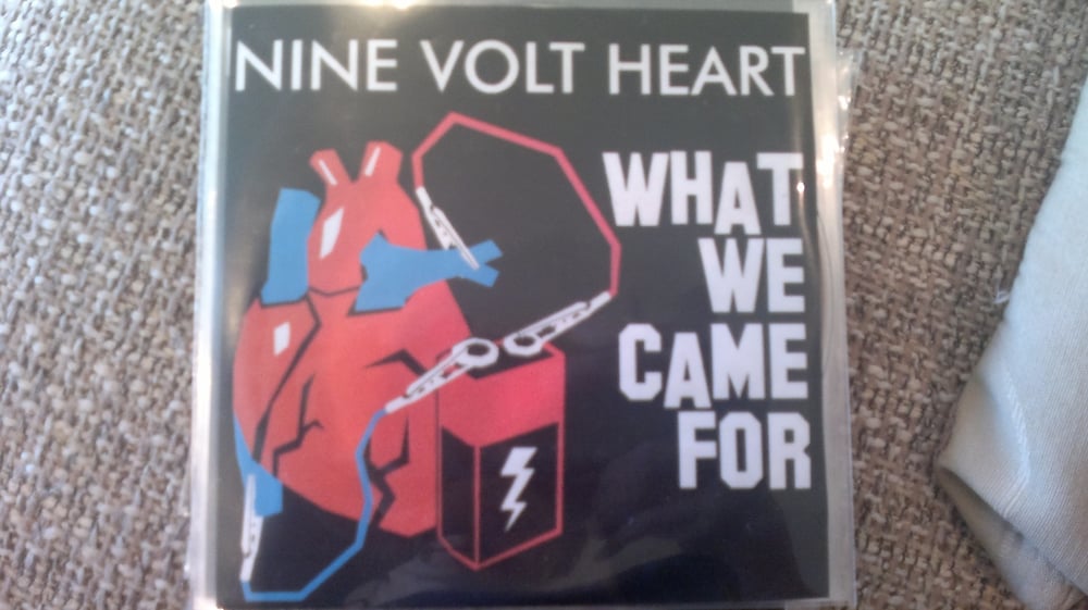 Image of What We Came For EP PHYSICAL